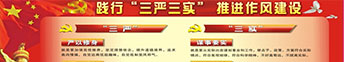 “三嚴(yán)三實(shí)”專(zhuān)題教育